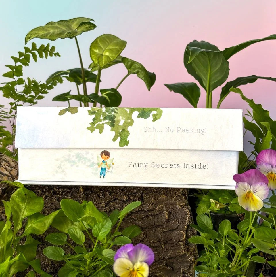 Tooth Fairy Set in Blue Opening Side of Box