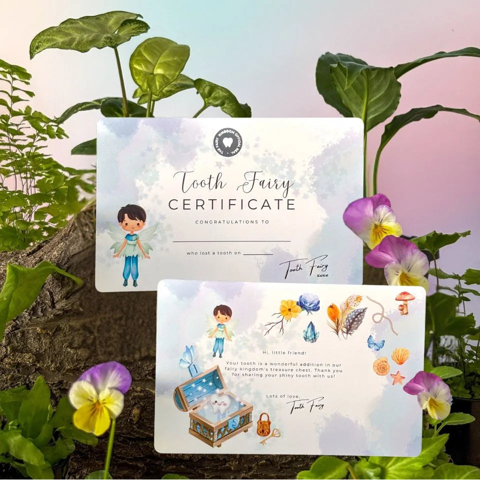 Tooth Fairy Set in Blue Each Side of Certificate 1